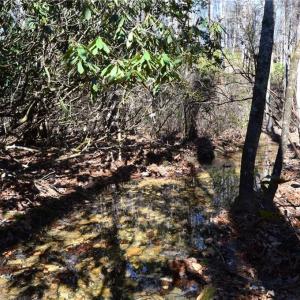Photo #28 of Hanging Rock Park, Danbury, NC 232.0 acres