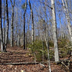 Photo #20 of Hanging Rock Park, Danbury, NC 232.0 acres