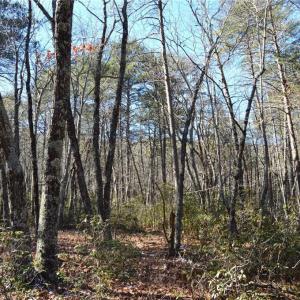 Photo #24 of Hanging Rock Park, Danbury, NC 232.0 acres