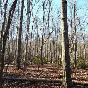 Photo #10 of Hanging Rock Park, Danbury, NC 232.0 acres