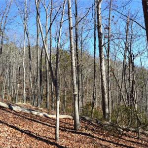 Photo #14 of Hanging Rock Park, Danbury, NC 232.0 acres