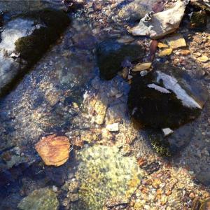Photo #18 of Hanging Rock Park, Danbury, NC 232.0 acres