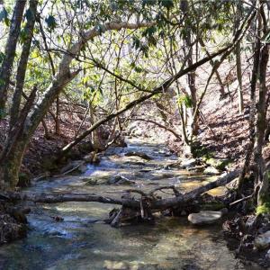 Photo #15 of Hanging Rock Park, Danbury, NC 232.0 acres