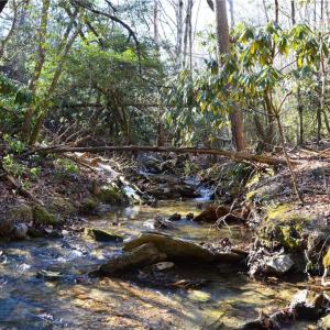 Photo #19 of Hanging Rock Park, Danbury, NC 232.0 acres