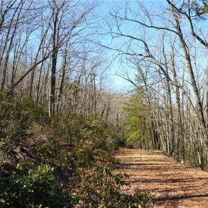 Photo #31 of Hanging Rock Park, Danbury, NC 232.0 acres