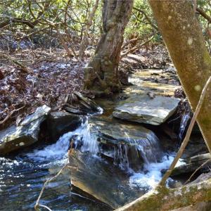 Photo #29 of Hanging Rock Park, Danbury, NC 232.0 acres