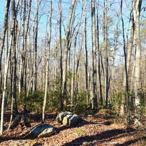 Photo #8 of Hanging Rock Park, Danbury, NC 232.0 acres