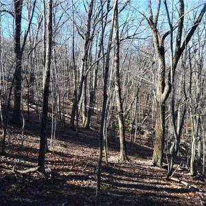 Photo #21 of Hanging Rock Park, Danbury, NC 232.0 acres