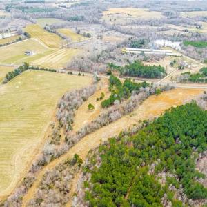 Photo #6 of 6436 Beulah Church, Liberty, NC 20.1 acres