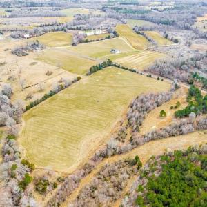 Photo #9 of 6436 Beulah Church, Liberty, NC 20.1 acres