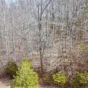 Photo #3 of TBD Hancock, Thomasville, NC 5.0 acres