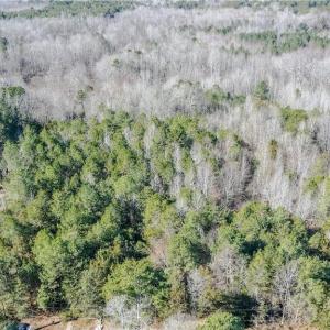 Photo #4 of Haith Fuller, Mebane, NC 4.7 acres