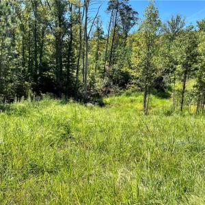 Photo #2 of Palmer, Francisco, NC 13.4 acres