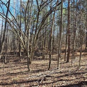 Photo #16 of 23.85ac Henderson, Pelham, NC 23.9 acres