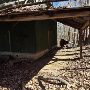 Photo #12 of 23.85ac Henderson, Pelham, NC 23.9 acres