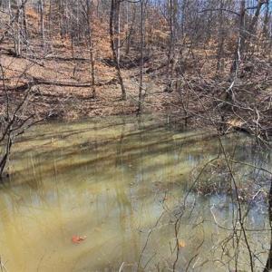 Photo #7 of 23.85ac Henderson, Pelham, NC 23.9 acres