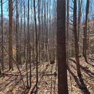 Photo #9 of 23.85ac Henderson, Pelham, NC 23.9 acres