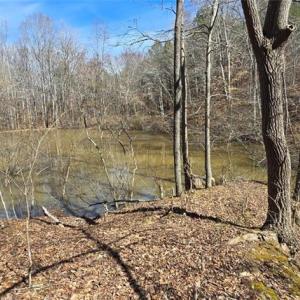 Photo #8 of 23.85ac Henderson, Pelham, NC 23.9 acres