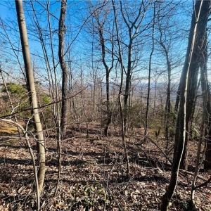 Photo #23 of TBD Reflection Point, Fancy Gap, VA 5.2 acres