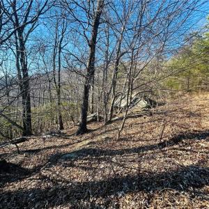 Photo #6 of TBD Reflection Point, Fancy Gap, VA 5.2 acres
