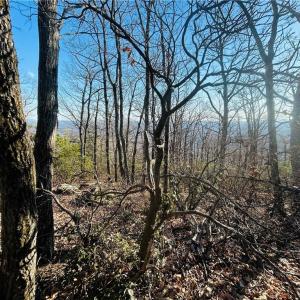 Photo #13 of TBD Reflection Point, Fancy Gap, VA 5.2 acres