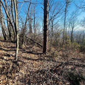 Photo #17 of TBD Reflection Point, Fancy Gap, VA 5.2 acres