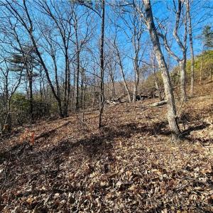 Photo #16 of TBD Reflection Point, Fancy Gap, VA 5.2 acres