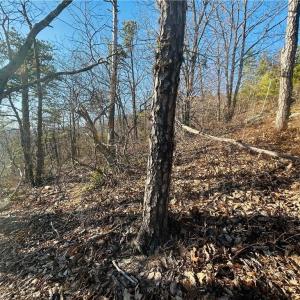 Photo #12 of TBD Reflection Point, Fancy Gap, VA 5.2 acres