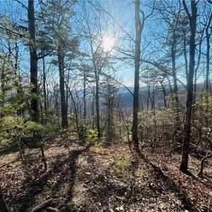 Photo #7 of TBD Reflection Point, Fancy Gap, VA 5.2 acres