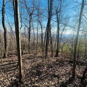 Photo #20 of TBD Reflection Point, Fancy Gap, VA 5.2 acres
