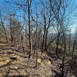 Photo #9 of TBD Reflection Point, Fancy Gap, VA 5.2 acres