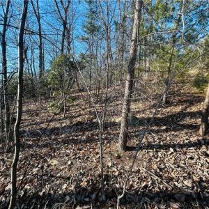 Photo #24 of TBD Reflection Point, Fancy Gap, VA 5.2 acres