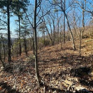 Photo #14 of TBD Reflection Point, Fancy Gap, VA 5.2 acres