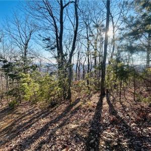 Photo #18 of TBD Reflection Point, Fancy Gap, VA 5.2 acres