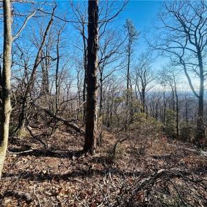Photo #15 of TBD Reflection Point, Fancy Gap, VA 5.2 acres