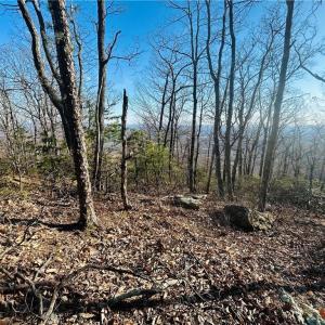 Photo #11 of TBD Reflection Point, Fancy Gap, VA 5.2 acres
