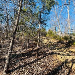 Photo #25 of TBD Reflection Point, Fancy Gap, VA 5.2 acres