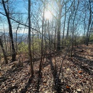 Photo #21 of TBD Reflection Point, Fancy Gap, VA 5.2 acres
