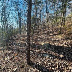 Photo #22 of TBD Reflection Point, Fancy Gap, VA 5.2 acres