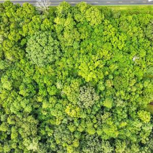 Photo #16 of 5438 Wild Turkey, Whitsett, NC 2.4 acres