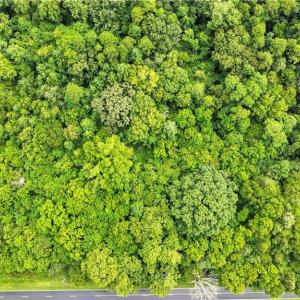 Photo #12 of 5438 Wild Turkey, Whitsett, NC 2.4 acres