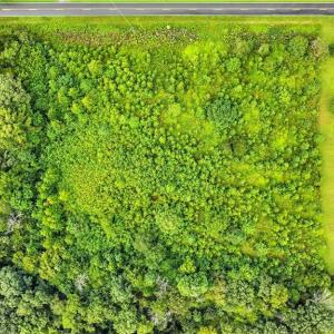 Photo #17 of 5438 Wild Turkey, Whitsett, NC 2.4 acres