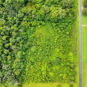 Photo #15 of 5438 Wild Turkey, Whitsett, NC 2.4 acres