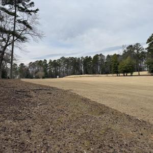 View of Golf Course