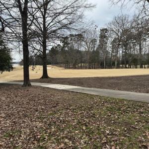 View of Golf Course