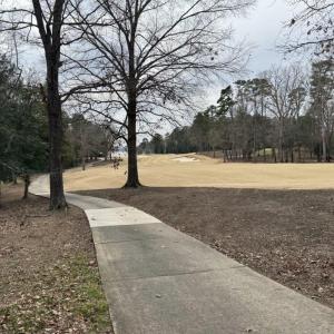 Golf Course View