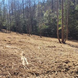 Photo #6 of LOT 6 St Andrews Church, Sanford, NC 2.5 acres