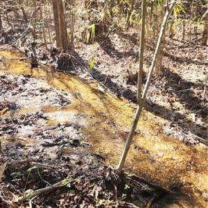 Photo #17 of LOT 6 St Andrews Church, Sanford, NC 2.5 acres