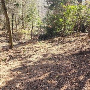 Photo #16 of LOT 6 St Andrews Church, Sanford, NC 2.5 acres