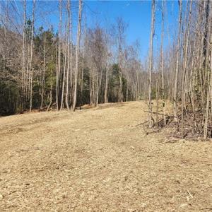 Photo #9 of LOT 6 St Andrews Church, Sanford, NC 2.5 acres